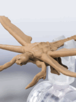 Bandai Godzilla Megaguirus evolution set Monsterarts action figure pvc