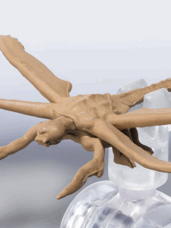 Bandai Godzilla Megaguirus evolution set Monsterarts action figure pvc