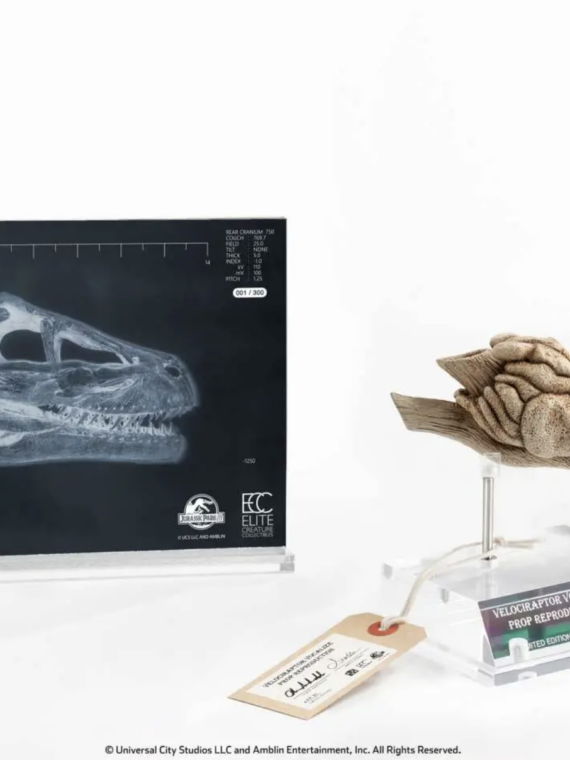Elite Creature Collectibles Jurassic Park 3 Velociraptor Resonating Chamber Prop Replica