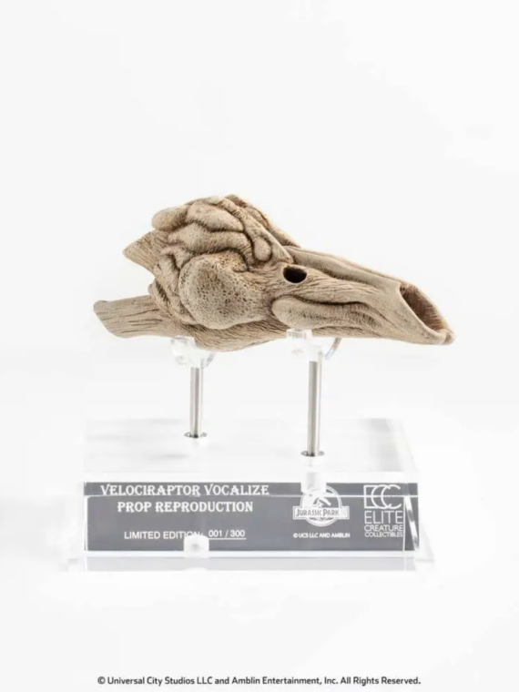 Elite Creature Collectibles Jurassic Park 3 Velociraptor Resonating Chamber Prop Replica