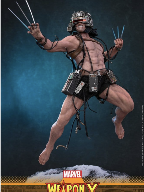 Hot Toys Marvel Comic Masterpiece Action Figure 1/6 Weapon X 31 cm