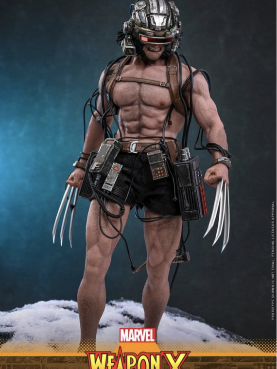 Hot Toys Marvel Comic Masterpiece Action Figure 1/6 Weapon X 31 cm