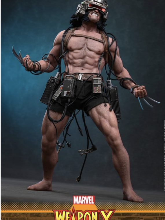 Hot Toys Marvel Comic Masterpiece Action Figure 1/6 Weapon X 31 cm
