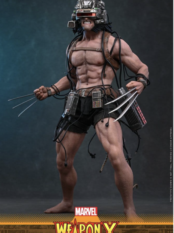 Hot Toys Marvel Comic Masterpiece Action Figure 1/6 Weapon X 31 cm