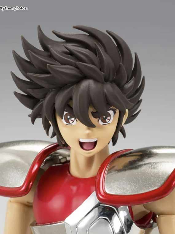 Bandai Saint Seiya myth cloth Seiya v1 Exm action figure 17 cm