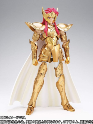 Bandai Saint Seiya Myth cloth Acquario ex oce action figure