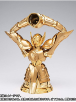 Bandai Saint Seiya Myth cloth Acquario ex oce action figure
