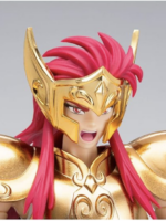 Bandai Saint Seiya Myth cloth Acquario ex oce action figure