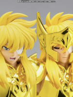 Bandai Saint Seiya Cloth Myth Ex Aquarius Hyoga Inheritor Of The Gold Cloth action figure